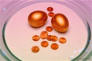 10分钟三讲预制菜：质量安全、营养健康是广东预制菜的“根”